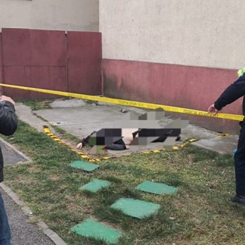 Incident tragic în Satu Mare