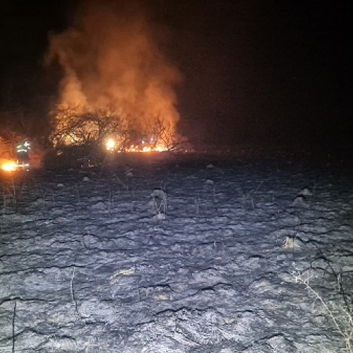 Incendii de vegetație în județul Satu Mare