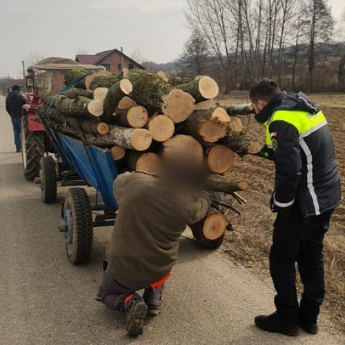 Acțiune de verificare a transportului de material lemnos în Satu Mare