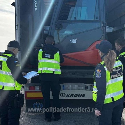 Raid împotriva migrației ilegale în județul Satu Mare