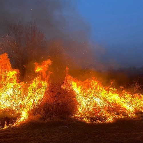 Incendii de vegetație în Satu Mare: Pompierii intervin pentru a limita daunele