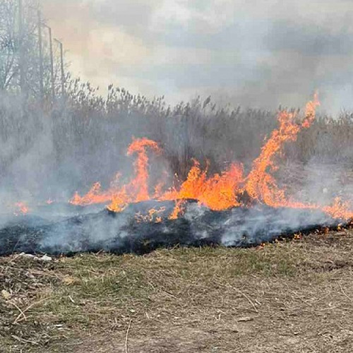 Persoană prinsă arzând deșeuri menajere în Ardud