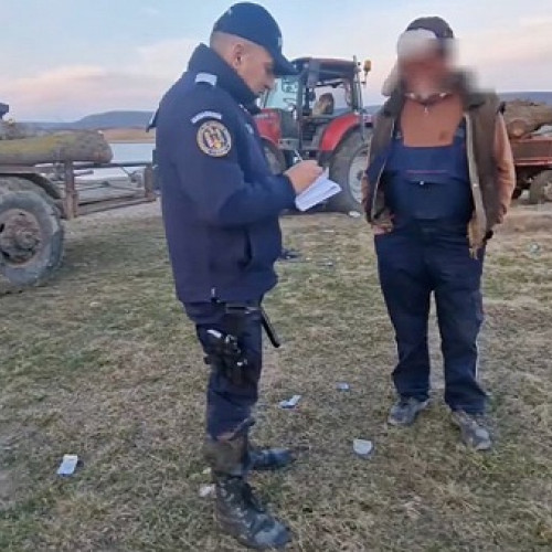 Percheziții în cazul tăierii ilegale de arbori în localitatea Băbța