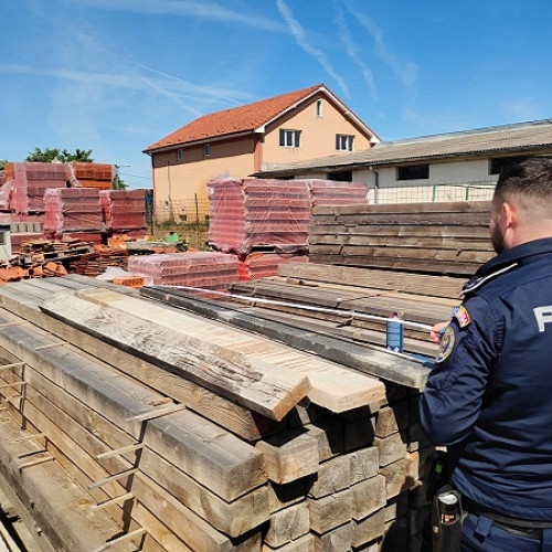 Acțiune împotriva tăierilor ilegale de arbori în Satu Mare